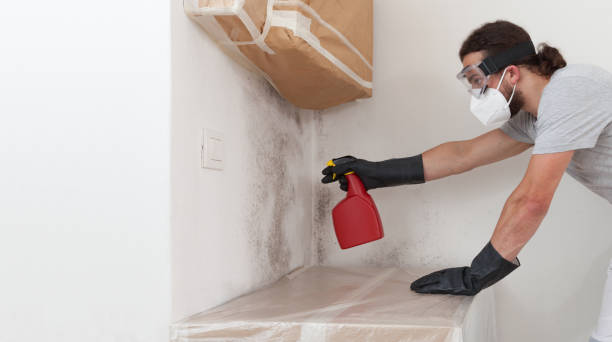 Professional Bathroom Mold Removal technician working in Etters, PA