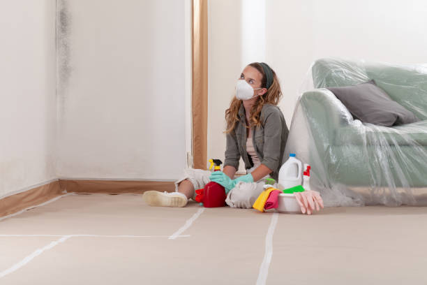 Reliable Bathroom Mold Removal contractor in Etters, PA by WQB Mold Removal